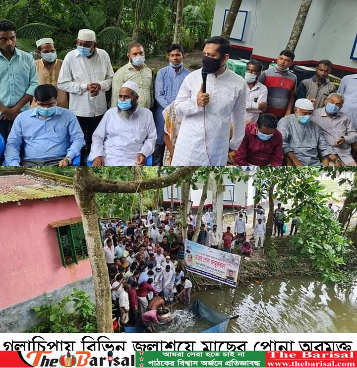 গলাচিপায় বিভিন্ন জলাশয়ে মাছের পোনা অবমুক্ত