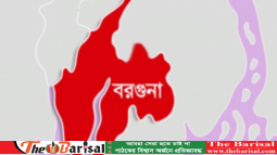বরগুনায় সহপাঠীকে ধর্ষণচেষ্টা-ভিডিও ধারণ, স্কুলছাত্র গ্রেপ্তার