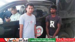 দৌলতখানে গাজা সহ গ্রেফতার-১