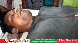 বানারীপাড়ায় বিদ্যুৎ স্পৃষ্টে ক্ষুদে ইঞ্জিনিয়ারের মৃত্যু