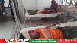 মনপুরায় ছাগলে ধান খাওয়াকে নিয়ে দুই গ্রুপের সংঘর্ষে আহত-৫