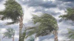 বরিশালসহ ৬ জেলায় মৌসুমের প্রথম কালবৈশাখীর আঘাত