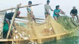 কাল থেকে ৬৫ দিন সমুদ্রে মাছ ধরা নিষেধ