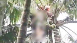 ফায়ার সার্ভিসের সামনে গাছ থেকে পড়ে যুবকের মৃত্যু, সংঘর্ষে ৬ কর্মী আহত