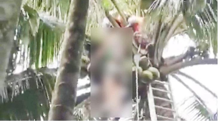 ফায়ার সার্ভিসের সামনে গাছ থেকে পড়ে যুবকের মৃত্যু, সংঘর্ষে ৬ কর্মী আহত