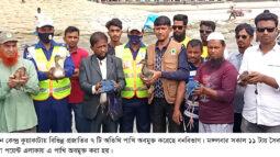 কুয়াকাটায় ৭ টি অতিথি পাখি অবমুক্ত