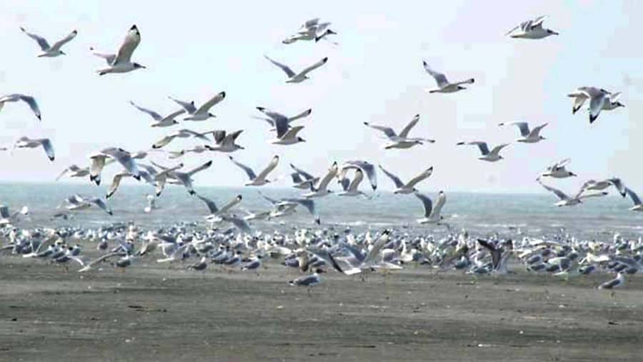 বঙ্গোপসাগরের বুকে অনন্য এক ভুবন ‘চর বিজয়’