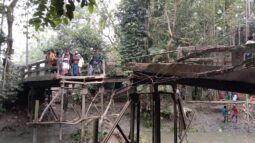র্দীঘদনি সংস্কার না কারায় ভঙ্গেে গলেো ব্রীজটি