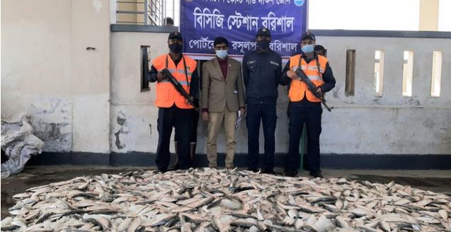 বরিশালে যাত্রীবাহী বাস থেকে ৮০০ কেজি জাটকা উদ্ধার