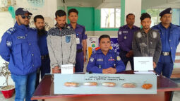 কলাপাড়ায় ২৬০ পিচ ইয়াবাসহ  দুই মাদক কারবারীকে গ্রেফতার