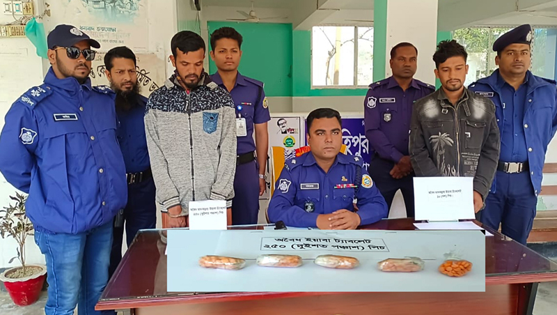 কলাপাড়ায় ২৬০ পিচ ইয়াবাসহ  দুই মাদক কারবারীকে গ্রেফতার