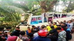 ভোলায় নিয়ন্ত্রণ হারিয়ে গাছের সঙ্গে যাত্রীবাহী বাসের ধাক্কা, আহত ২০