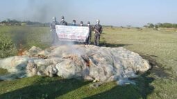 গলাচিপায় নিষিদ্ধ জাল পুড়িয়ে ধ্বংস করল মৎস্য বিভাগ