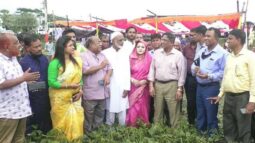 দক্ষিণাঞ্চলের কৃষির উন্নয়নে নেওয়া হচ্ছে ৪ হাজার কোটি টাকার প্রকল্প’