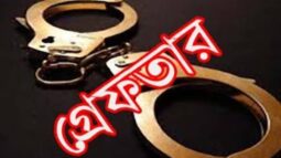 বরিশালে মাইক্রোবাসের ৬ যাত্রী নিহতের ঘটনায় বাস চালক গ্রেফতার