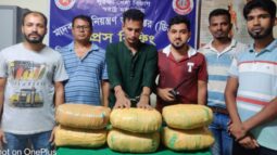 বরিশালে ১২ কেজি গাঁজাসহ যুবক আটক