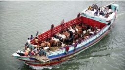 বরিশালে গরু বহনকারী ট্রলারে ডাকাতি ॥ ৩০ লাখ টাকা লুট