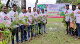 কলাপাড়ায় বৃক্ষরোপন কর্মসূচীতে মাঠে নেমেছে যুবলীগ