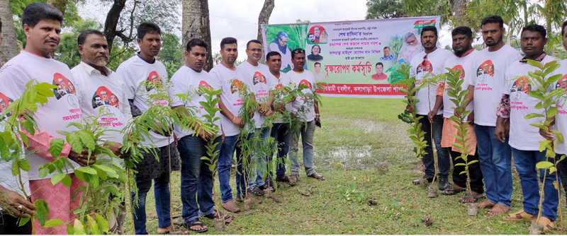 কলাপাড়ায় বৃক্ষরোপন কর্মসূচীতে মাঠে নেমেছে যুবলীগ