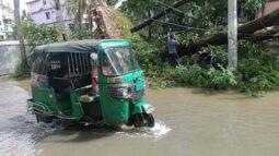 ভেঙ্গে পড়েছে গাছপালা/ পানিতে ভাসছে বরিশাল