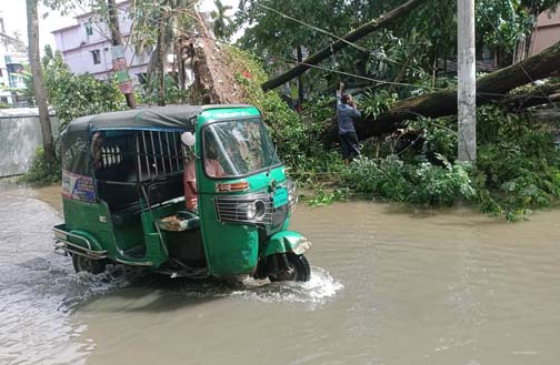 ভেঙ্গে পড়েছে গাছপালা/ পানিতে ভাসছে বরিশাল
