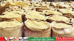 বরিশালে আমনের বাম্পার ফলন
