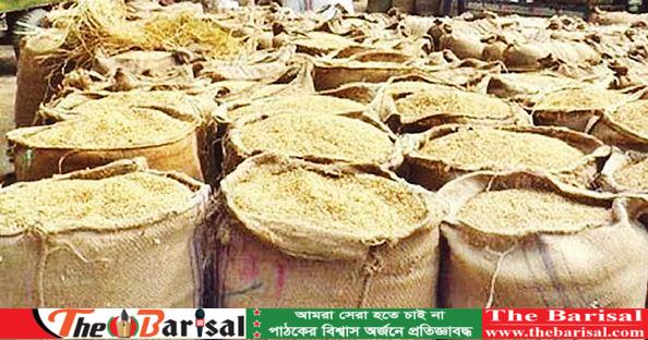 বরিশালে আমনের বাম্পার ফলন