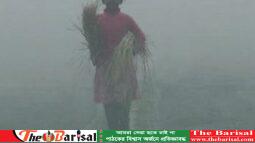 তিন দিনের মধ্যে ফের বাড়তে পারে শীত