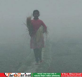 তিন দিনের মধ্যে ফের বাড়তে পারে শীত