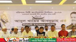 নৌকা প্রার্থীর ৩৫ দফা ইশতেহার ॥ কমবে ট্যাক্স