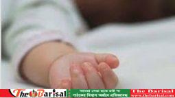 মুলাদীতে গলায় চিড়া আটকে প্রাণ গেল শিশুর