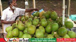 ডাব বিক্রি করতে লাগবে লাইসেন্স
