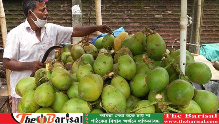 ডাব বিক্রি করতে লাগবে লাইসেন্স