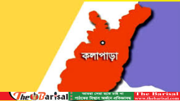 কলাপাড়ায় ইউপি গোডাউন থেকে ভিজিএফর ১৩৯ বস্তা চাল চুরি