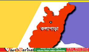 কলাপাড়ায় ইউপি গোডাউন থেকে ভিজিএফর ১৩৯ বস্তা চাল চুরি