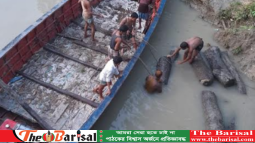 পাতারহাট আরসি কলেজের গাছ কেটে নেওয়ার অভিযোগ