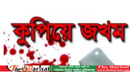 বরিশালে মৎস্যজীবী দলের যুগ্ম আহ্বায়ককে কুপিয়ে জখম