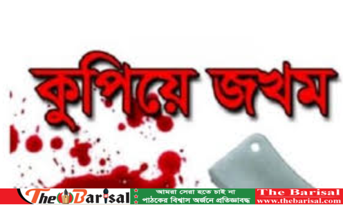 বরিশালে মৎস্যজীবী দলের যুগ্ম আহ্বায়ককে কুপিয়ে জখম
