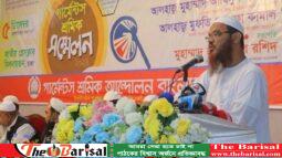 ঐক্যবদ্ধভাবে যে কোনো ষড়যন্ত্র মোকাবিলা করব: শায়েখে চরমোনাই