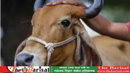 প্রকাশ্যে গরুর মাংস খাওয়া নিষিদ্ধ হলো আসামে