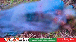 মহাসড়কের পাশে পলিথিনে মোড়ানো এসিডদগ্ধ নারী, জীবিত উদ্ধার করল পুলিশ